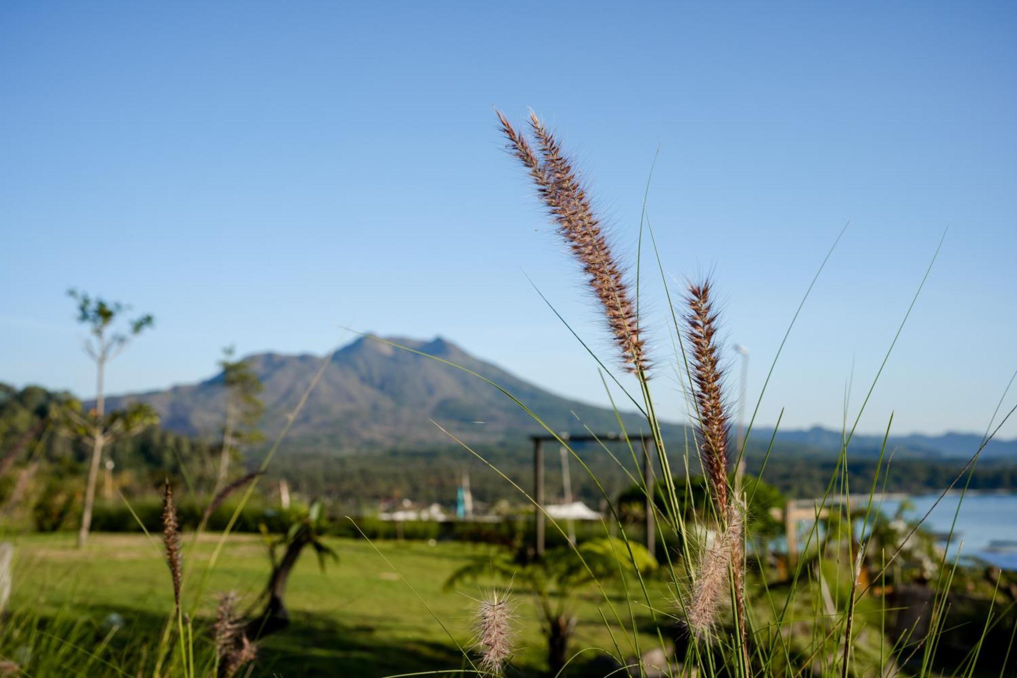 Samuh Camp Kintamani Hotel Luaran gambar